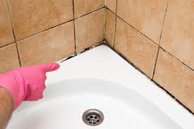 how to get rid of mold in shower