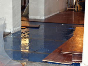 Subfloor Damage